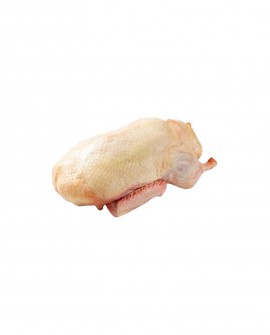Anatra busto - 2,5 kg sottovuoto - carne fresca pregiata, Quack Italia